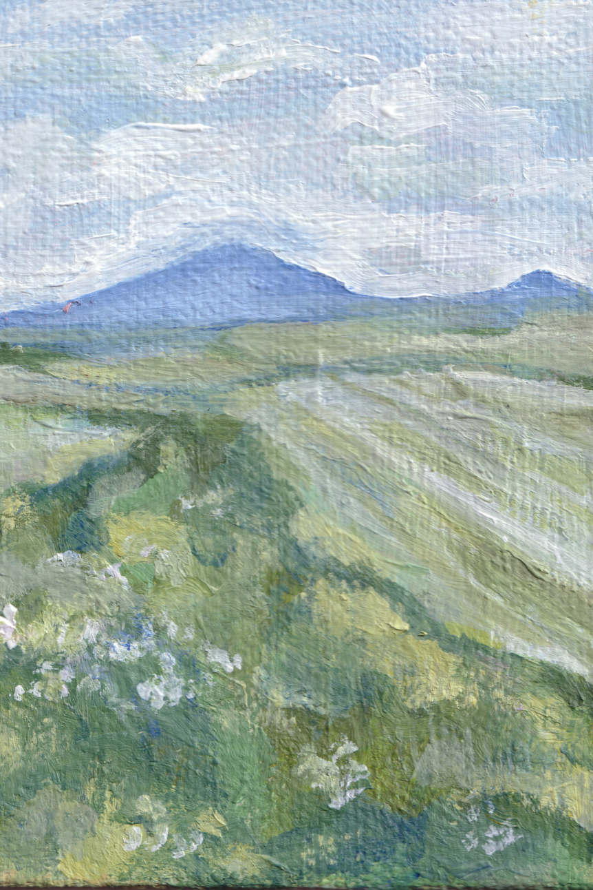 Field