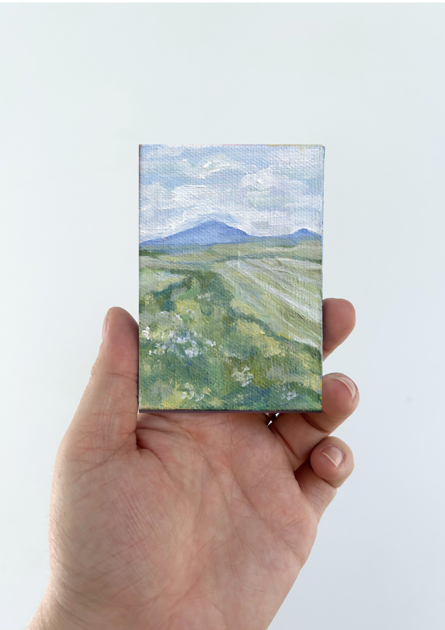 Field