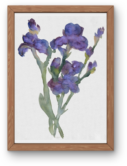 Purple Iris Fine Art Print