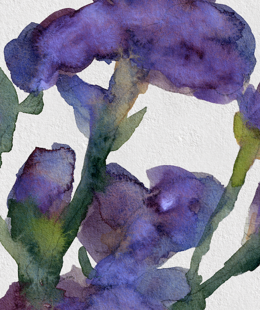Purple Iris Fine Art Print