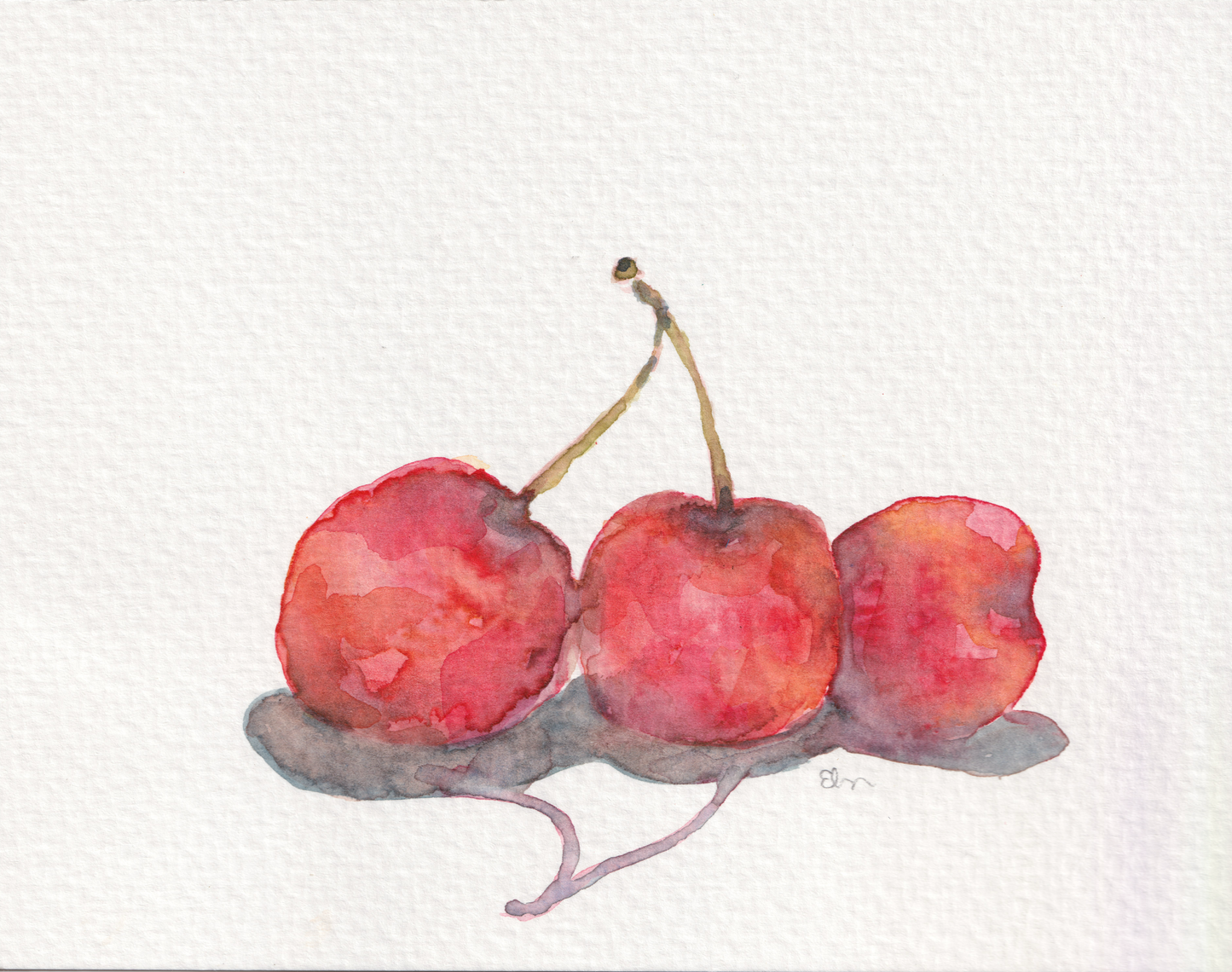 Cherries Still Life (2)