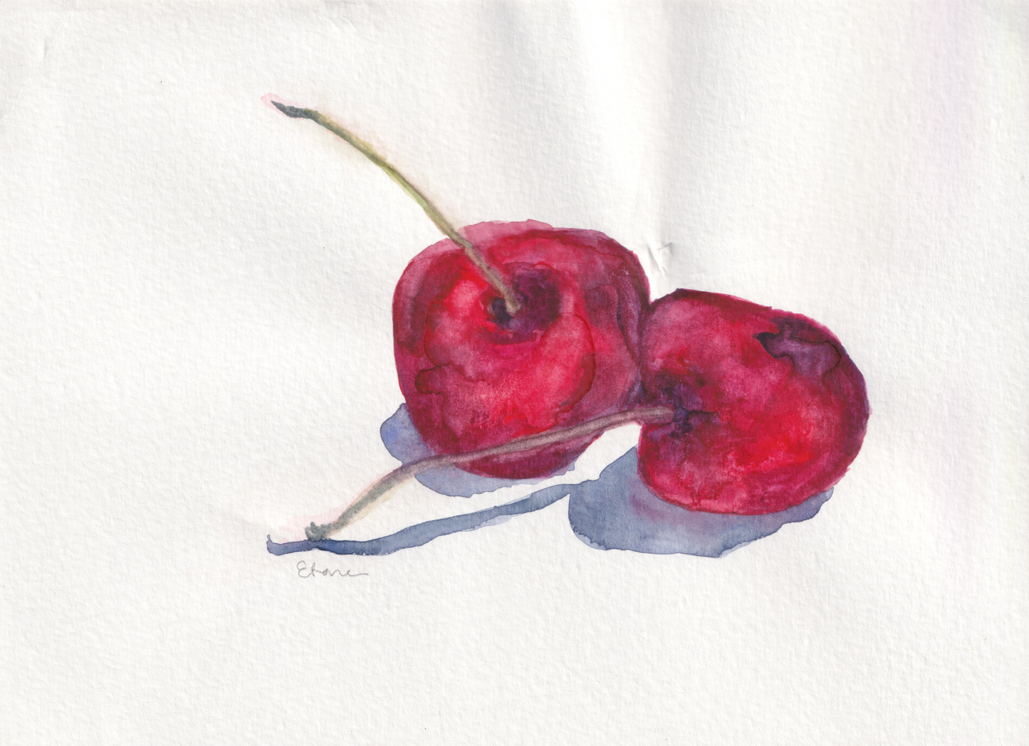 Cherries Still Life