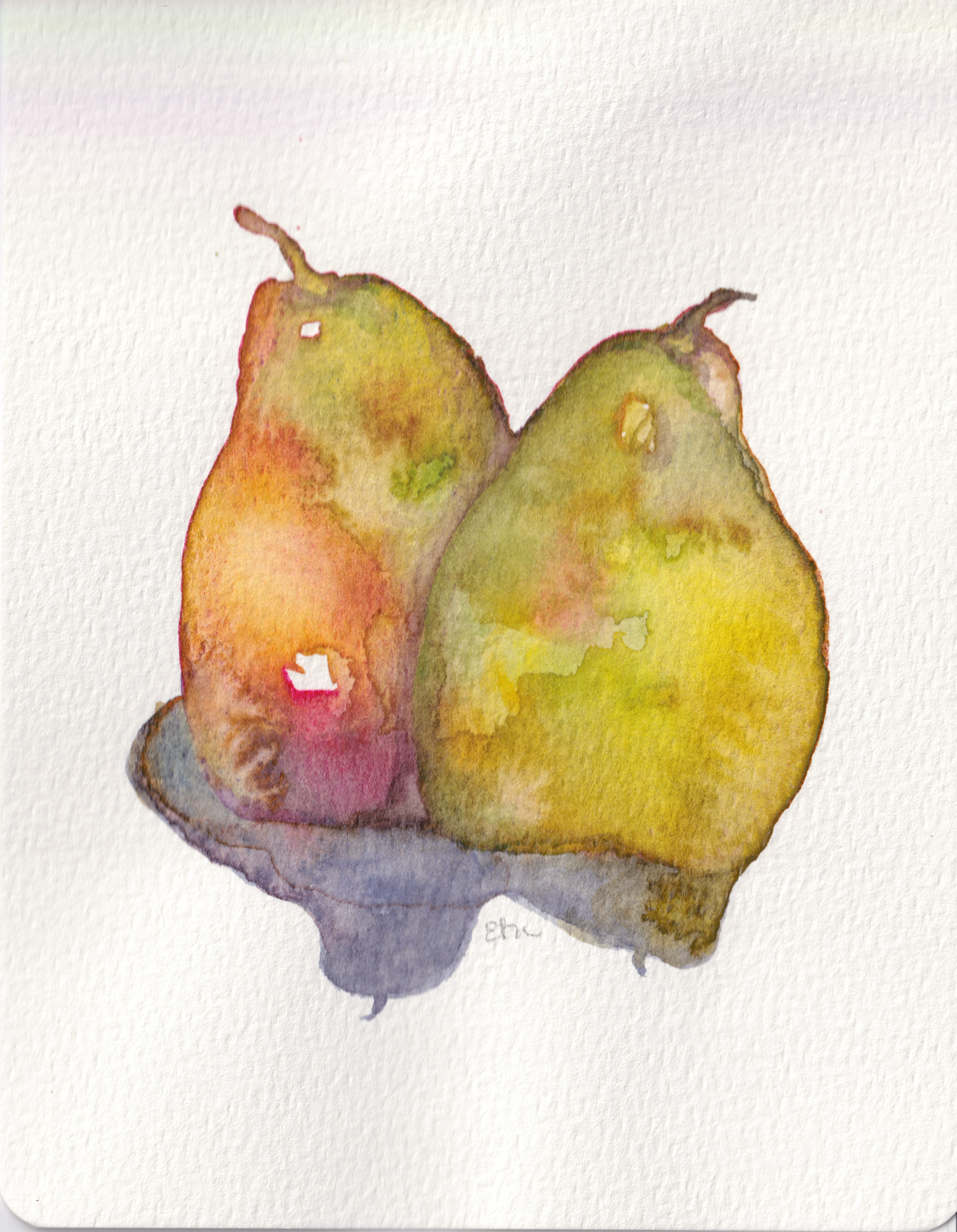 Pears Still Life