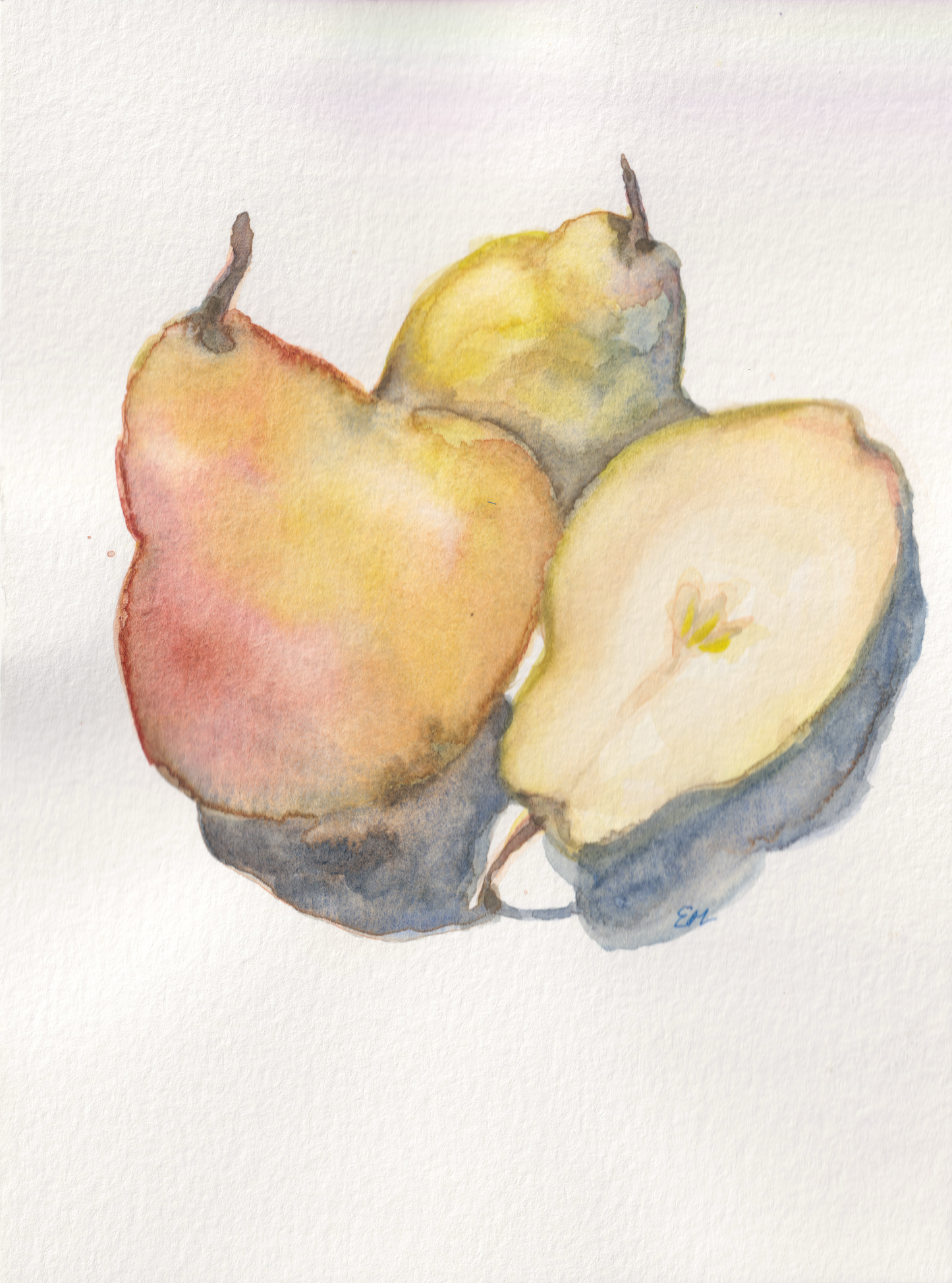 Pears Still Life (2)