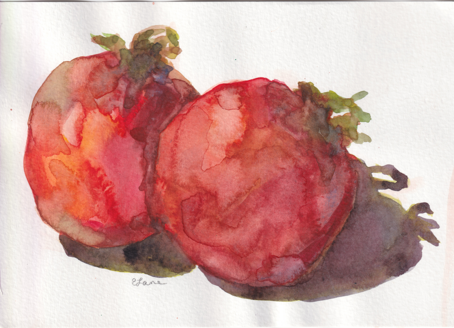 Tomato Still Life (2)