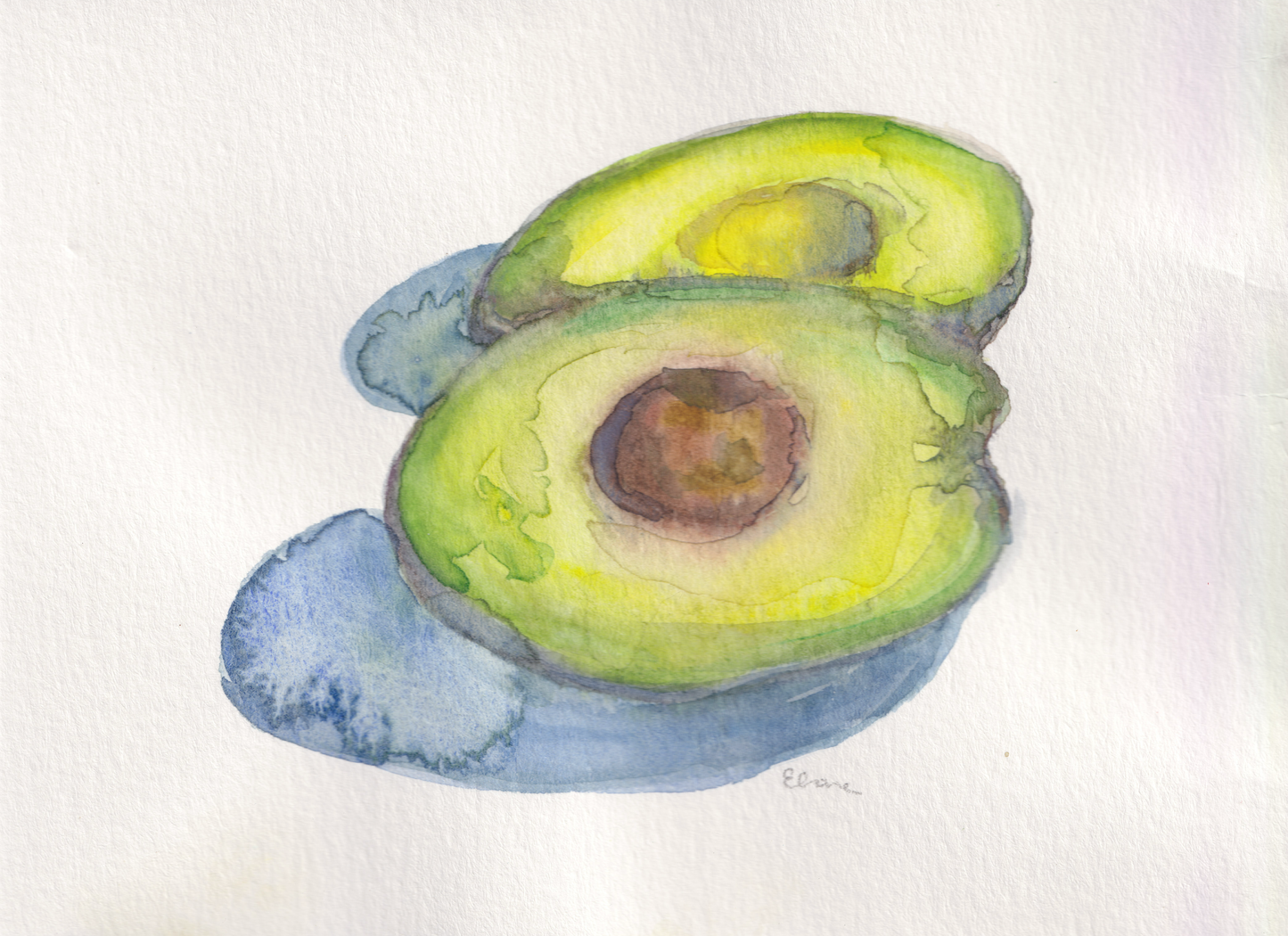 Avocado Still Life