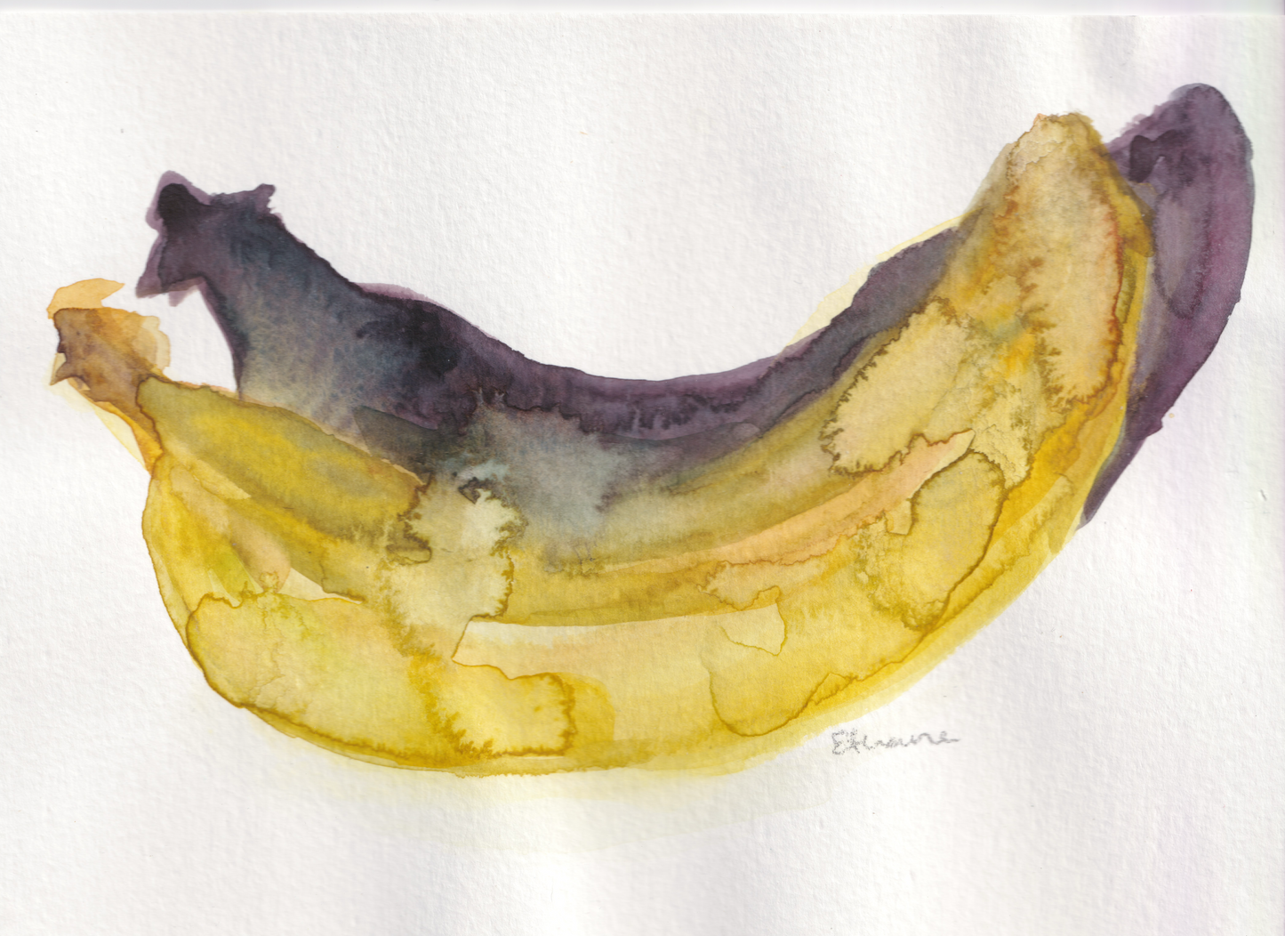 Banana Still Life