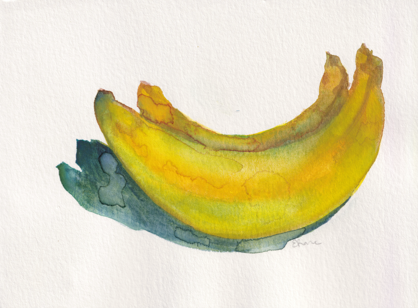 Banana Still Life (2)