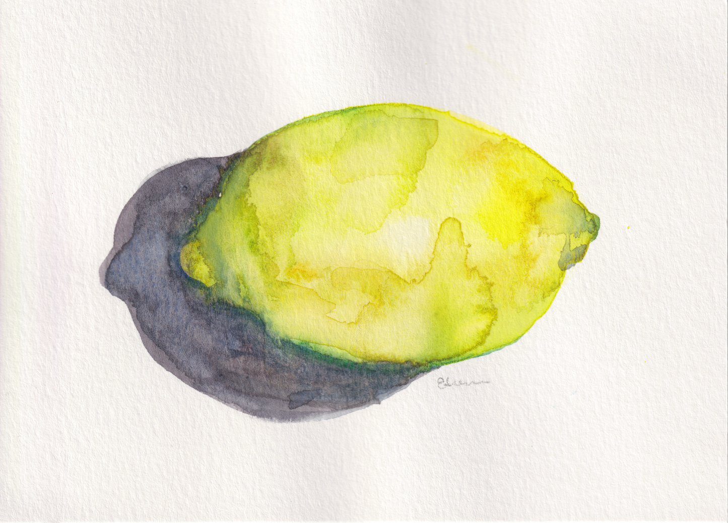 Lemon Still Life