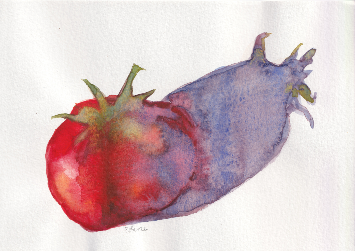 Tomato Still Life
